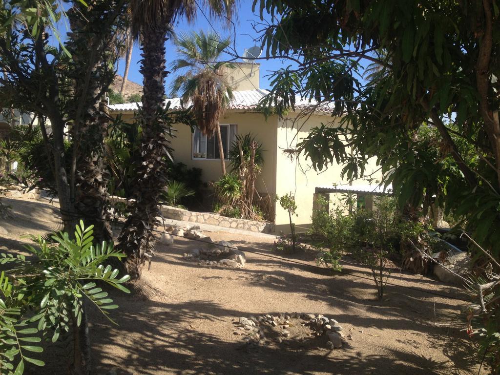 Surfer'S Paradise, Yoga&Food Garden@Costa Azul, Los Cabos San Jose del Cabo Bagian luar foto