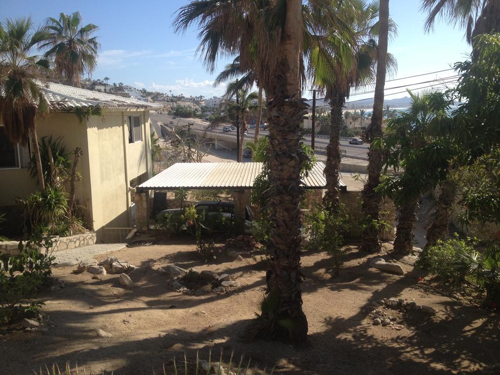 Surfer'S Paradise, Yoga&Food Garden@Costa Azul, Los Cabos San Jose del Cabo Bagian luar foto